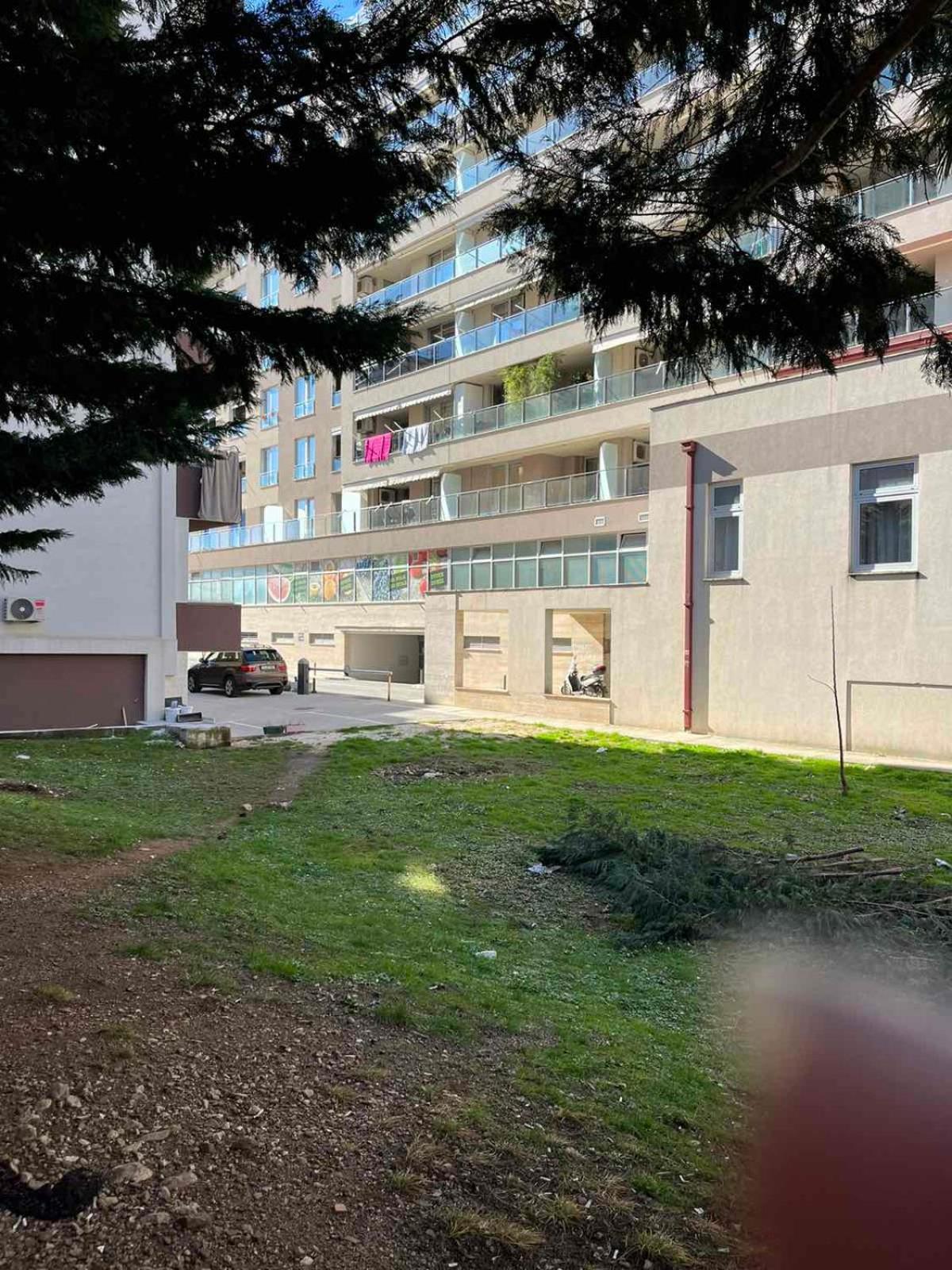 Cvrcak Apartment *